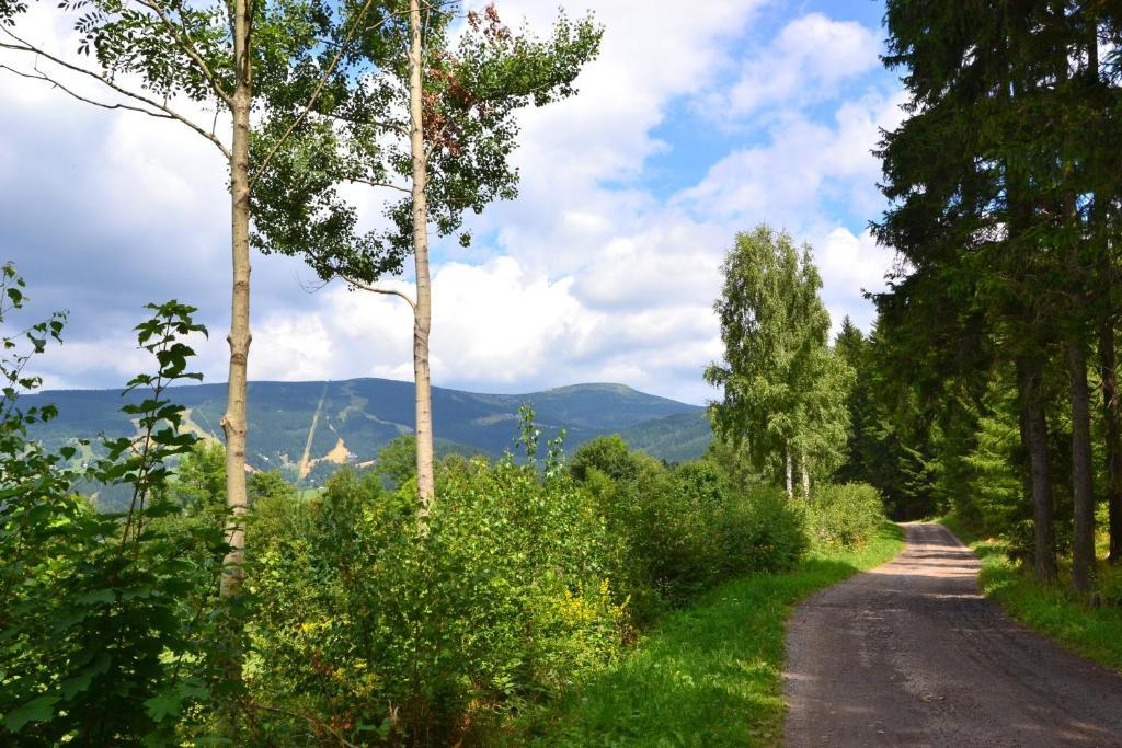 Apartmany Ski Lift Rokytnice nad Jizerou Bagian luar foto